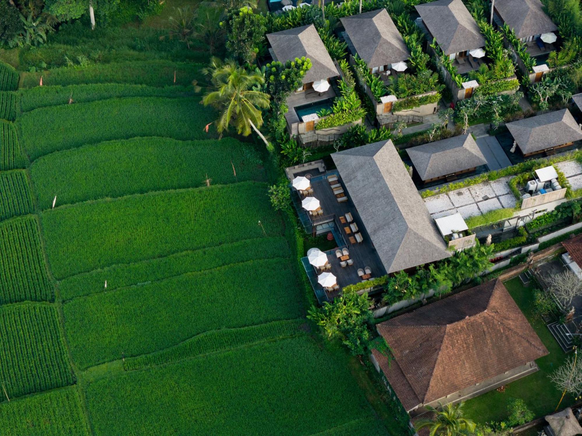 Kappa Senses Ubud Exterior foto